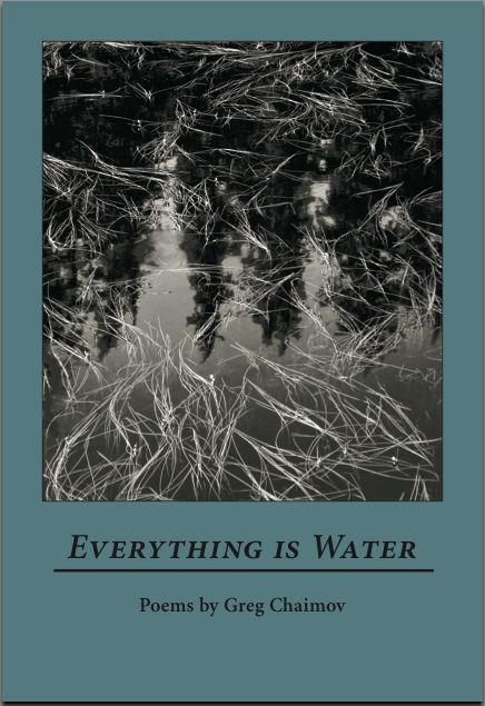 Cover of Everything is Water